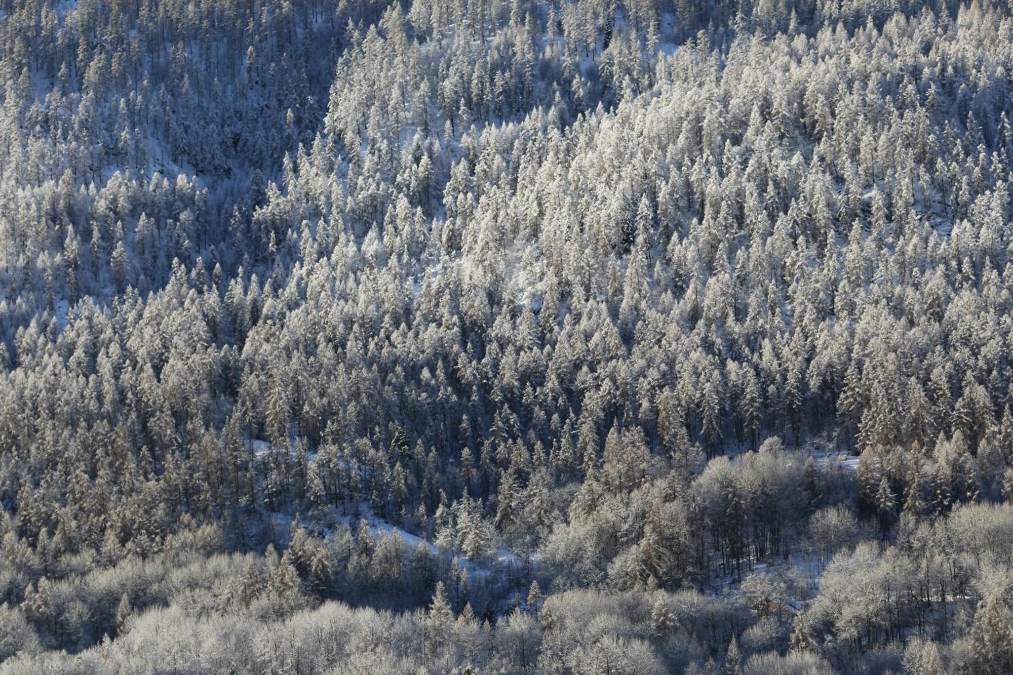 Maison De Montagne Serre Chevalier Saint-Chaffrey Exteriör bild